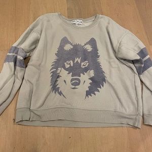 Wildfox Blue Varsity Sweater